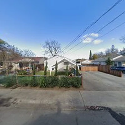 Hector Tree Services