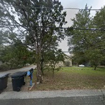 Tree Surgeons of Austin