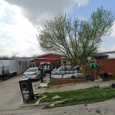 New Day Tree Service