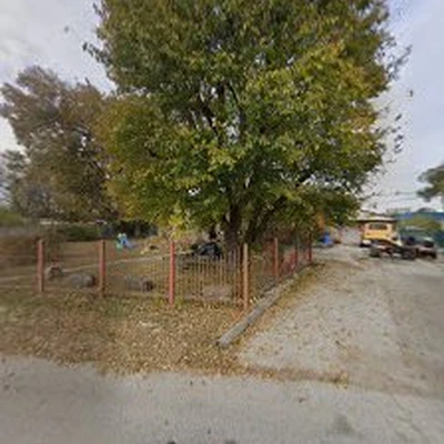 Jim's Tree Experts
