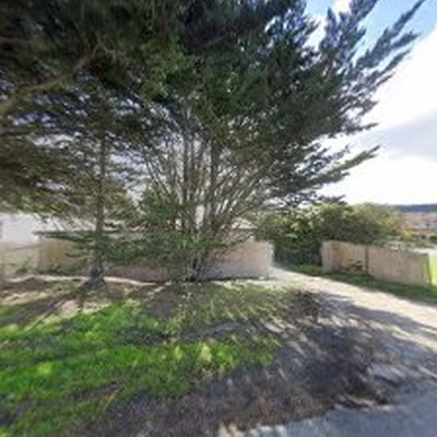 The Davey Tree Expert Company