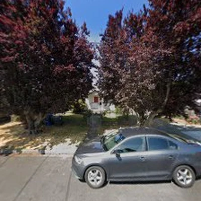Pacific Tree Services