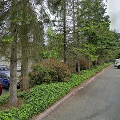 American Tree Care