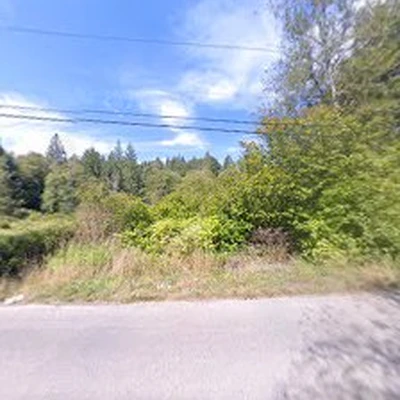 Western Washington Tree Service
