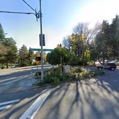 Rodriguez tree services
