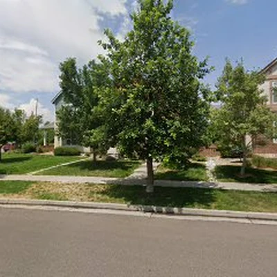 Ojaylis Tree Service