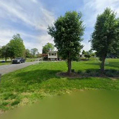 23 Trees