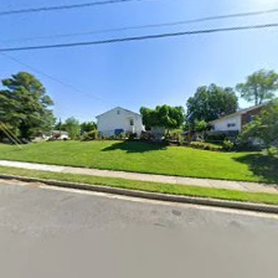 OH Tree Removal Services