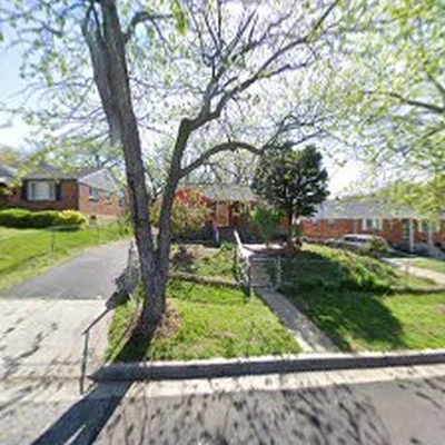 Professional Quality tree service LLC