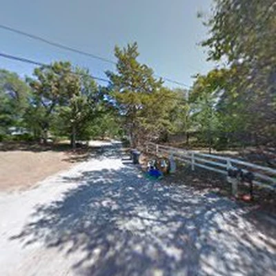 Timber Tree Service