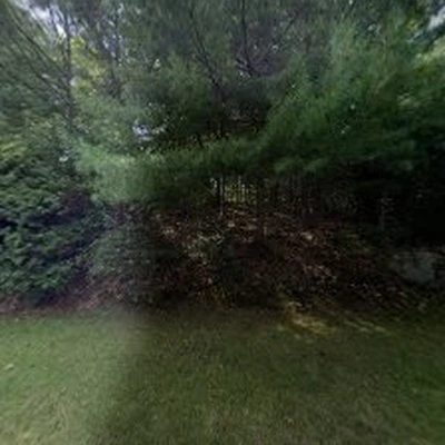 Cutler Tree Service