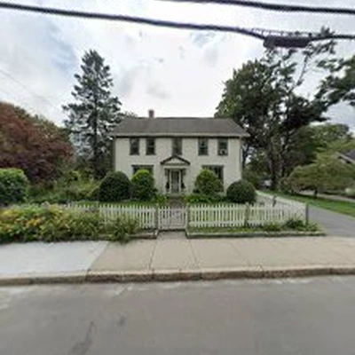 Mass Stump & Tree Removal