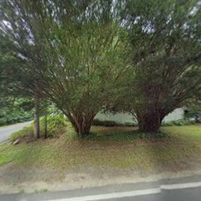Seaside Arborists Tree Services
