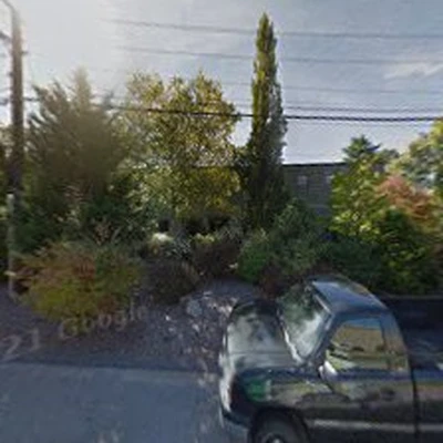 Bartlett Tree Experts