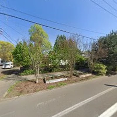 Understory Specialty Tree Care