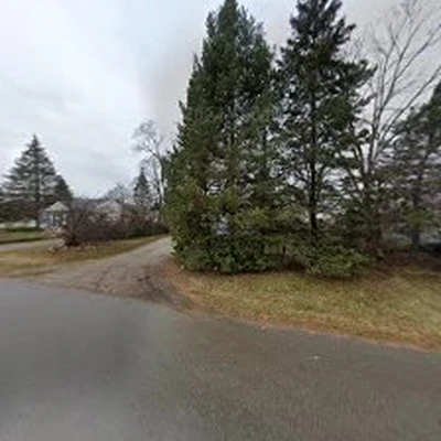 True Cut Tree Care Service