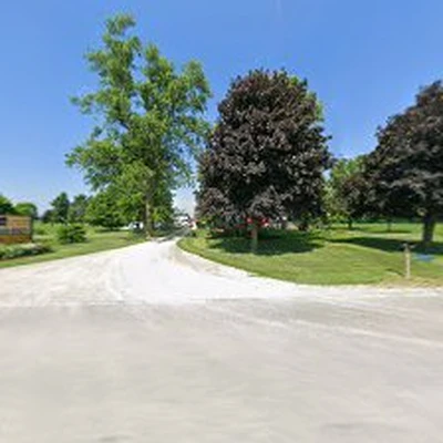 County Wide Tree Service