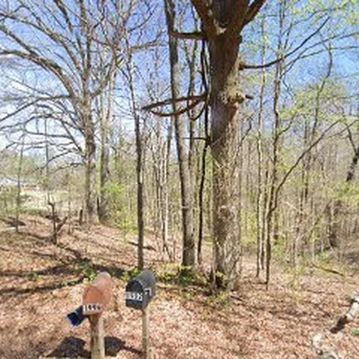 Johnsons Tree Services