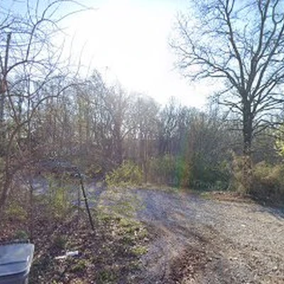Affordable Tree Service And Stump Grinding