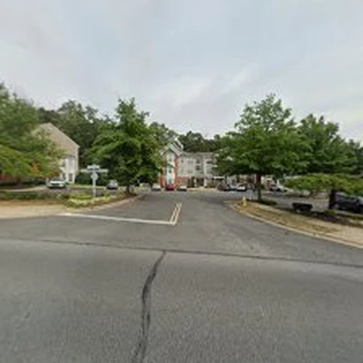 Annapolis Tree Company LLC