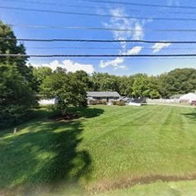 Dohne Tree Experts