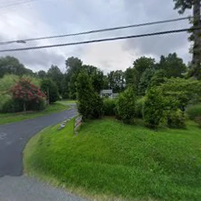 A Cut Above Tree Experts