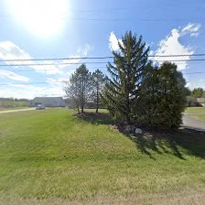 Nelson TreeWorks