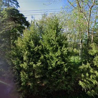 Kaminski Tree Service LLC