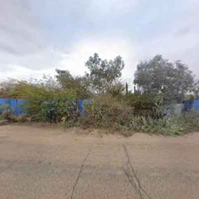 KP Cactus & Tree