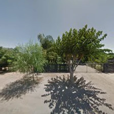 A.B.O Tree Service