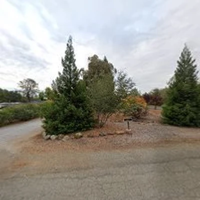 All In One Tree Service
