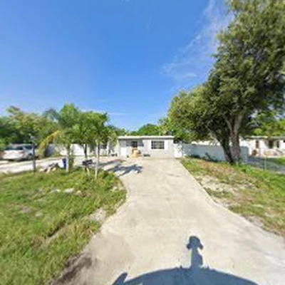 Tree services El Tiburon