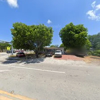 Monkey guy tree service Fort Lauderdale