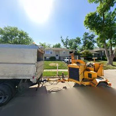 Premier Tree Professionals