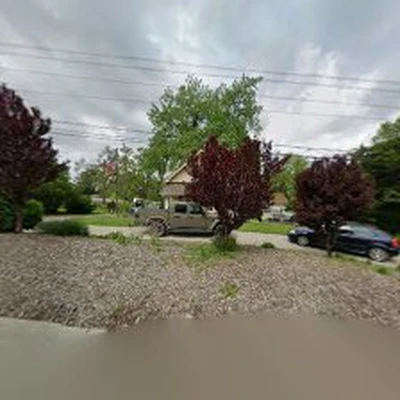 A & C Tree Service