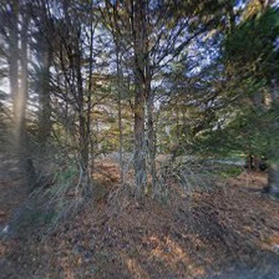 Wright's Tree Service