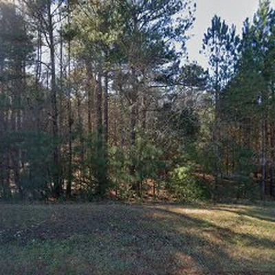 Tree Services Experts Spring Hope