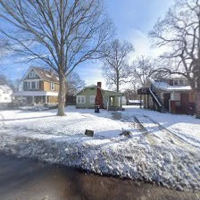 Quality Tree Care 4 Less
