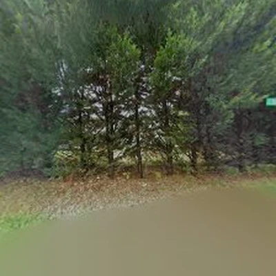 Loves Tree Removal