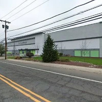 Chestnut Tree Experts Inc.
