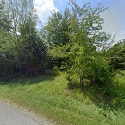 Paterson Tree Service