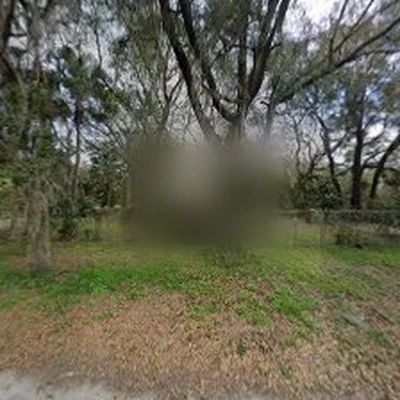 Plant City Tree Service
