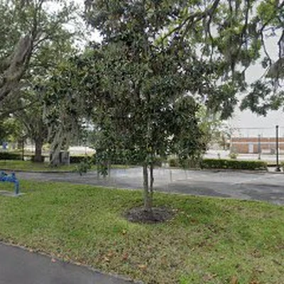 Plant City Tree Service.
