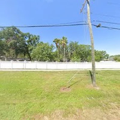 Florida Tree Experts