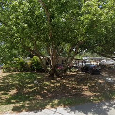 Ajs tree care & More
