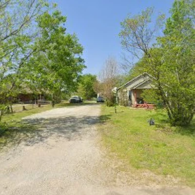 C.B. TREE DESIGN AND RESTORATION