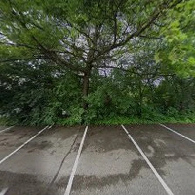 1-800-CUT-TREE Tree Care