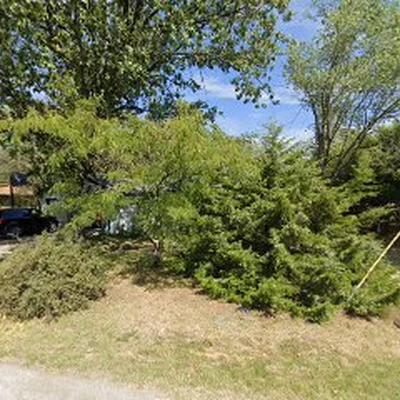 R & R Tree Services