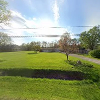 Bloom Tree Removal
