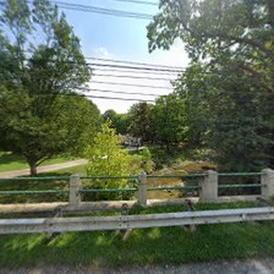 Dave's Tree & Stump Removal LLC